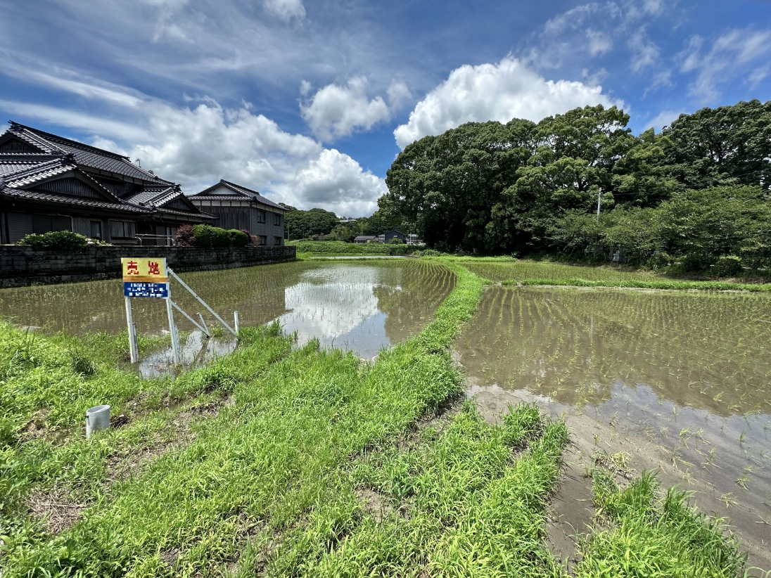 福岡県行橋市大字下検地【土地】