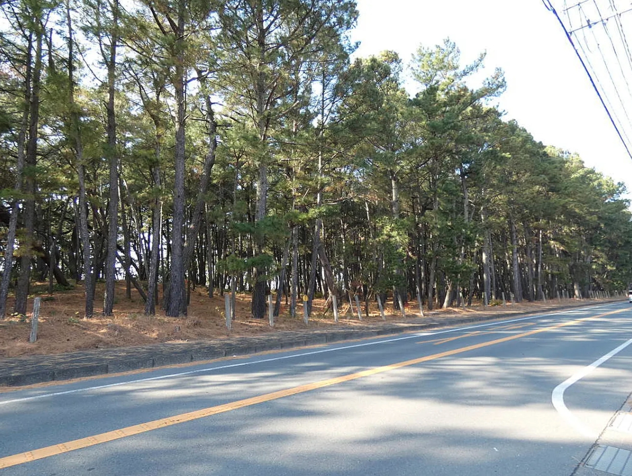 福岡県福津市宮司浜2丁目【土地】